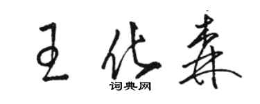 駱恆光王化森草書個性簽名怎么寫