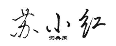 駱恆光蘇小紅行書個性簽名怎么寫