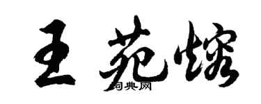 胡問遂王苑熔行書個性簽名怎么寫