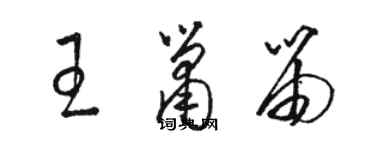 駱恆光王簫笛草書個性簽名怎么寫