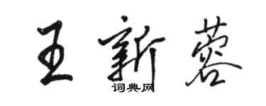 駱恆光王新蓉行書個性簽名怎么寫