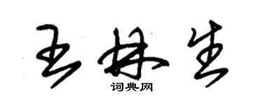 朱錫榮王林生草書個性簽名怎么寫