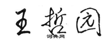 駱恆光王哲園行書個性簽名怎么寫