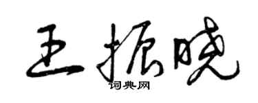 曾慶福王振曉草書個性簽名怎么寫