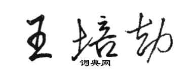 駱恆光王培劫行書個性簽名怎么寫