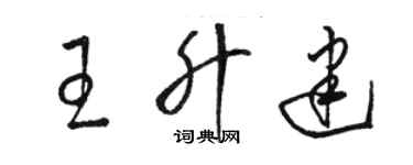 駱恆光王升建草書個性簽名怎么寫