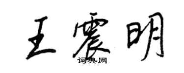 王正良王震明行書個性簽名怎么寫