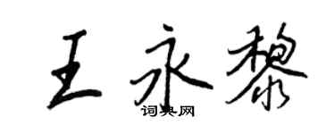 王正良王永黎行書個性簽名怎么寫