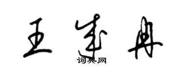 梁錦英王成冉草書個性簽名怎么寫