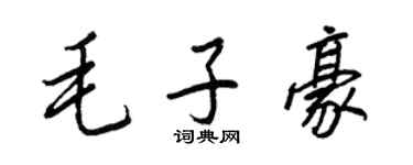 王正良毛子豪行書個性簽名怎么寫