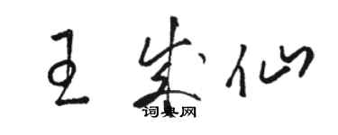 駱恆光王成仙草書個性簽名怎么寫