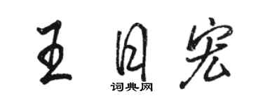 駱恆光王日宏行書個性簽名怎么寫