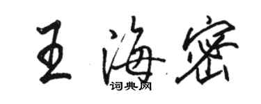 駱恆光王海密行書個性簽名怎么寫