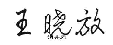 駱恆光王曉放行書個性簽名怎么寫