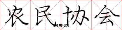 龐中華農民協會楷書怎么寫