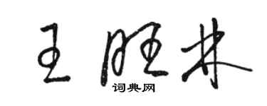 駱恆光王旺林草書個性簽名怎么寫