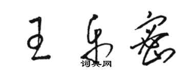 駱恆光王樂密草書個性簽名怎么寫