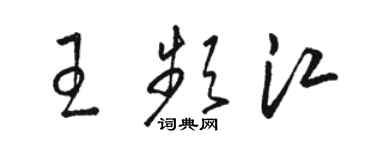 駱恆光王頻江草書個性簽名怎么寫