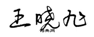 曾慶福王曉旭草書個性簽名怎么寫