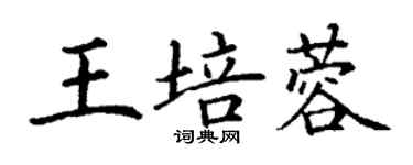 丁謙王培蓉楷書個性簽名怎么寫