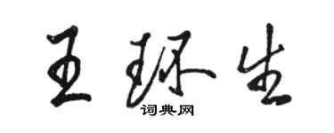 駱恆光王環生行書個性簽名怎么寫