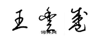 梁錦英王豐盛草書個性簽名怎么寫