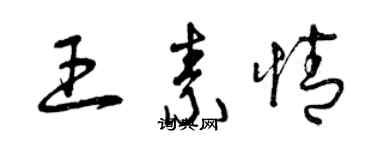 曾慶福王素情草書個性簽名怎么寫