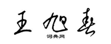 梁錦英王旭春草書個性簽名怎么寫