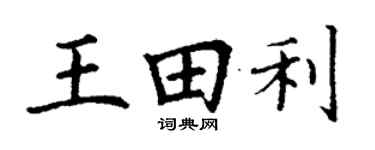 丁謙王田利楷書個性簽名怎么寫