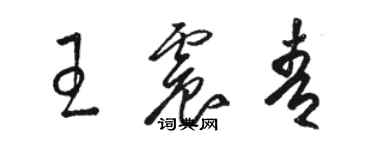 駱恆光王震青草書個性簽名怎么寫