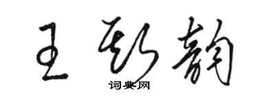駱恆光王斯韻草書個性簽名怎么寫