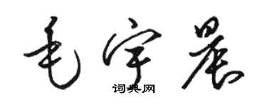 駱恆光毛宇晨草書個性簽名怎么寫