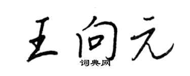王正良王向元行書個性簽名怎么寫