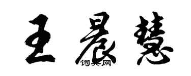 胡問遂王晨慧行書個性簽名怎么寫