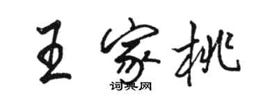 駱恆光王家桃行書個性簽名怎么寫