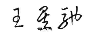 駱恆光王星馳草書個性簽名怎么寫