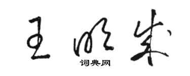 駱恆光王明成草書個性簽名怎么寫