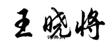 胡問遂王曉將行書個性簽名怎么寫