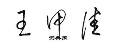 駱恆光王甲佳草書個性簽名怎么寫