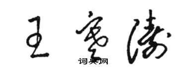 駱恆光王寒濤草書個性簽名怎么寫