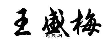 胡問遂王盛梅行書個性簽名怎么寫