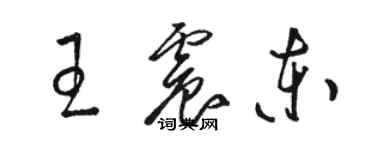 駱恆光王震東草書個性簽名怎么寫