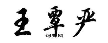 胡問遂王覃嚴行書個性簽名怎么寫