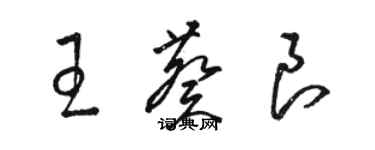 駱恆光王葵良草書個性簽名怎么寫