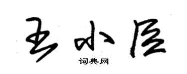 朱錫榮王小臣草書個性簽名怎么寫