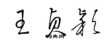 駱恆光王貞穎草書個性簽名怎么寫