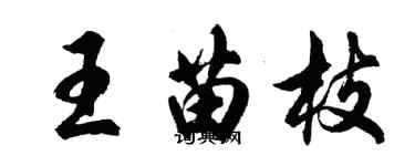 胡問遂王苗枝行書個性簽名怎么寫