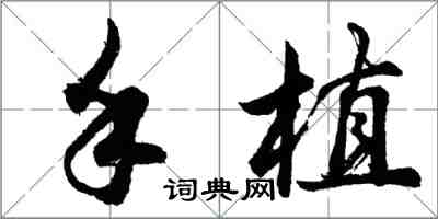 胡問遂手植行書怎么寫