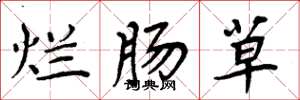 周炳元爛腸草楷書怎么寫