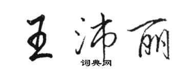 駱恆光王沛麗行書個性簽名怎么寫